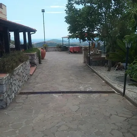 D'amare