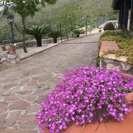 Konukevi D'amare